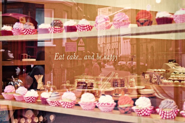 IMG_6587_edited-1colorized