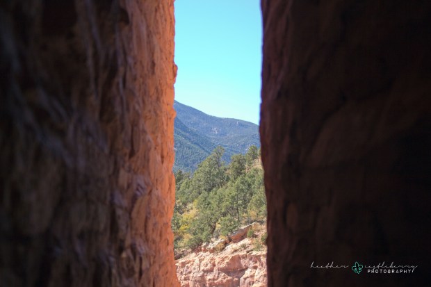 img_0680_logo_resized