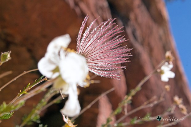 img_0712_logo_resized