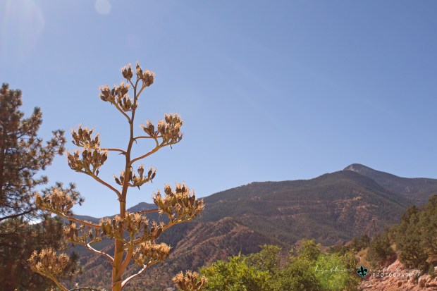 img_0734_logo_resized