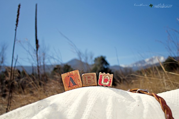 img_8339logo_resized