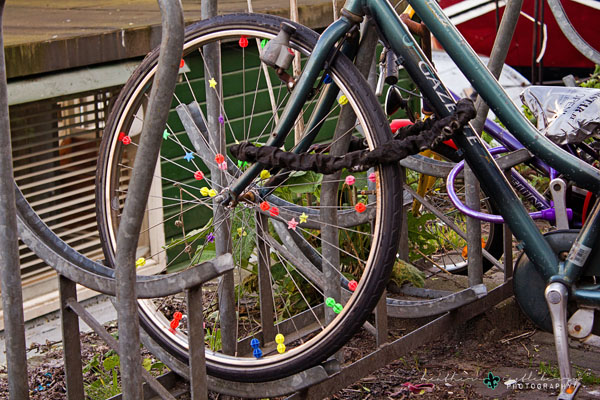 img_7656_logo_resized