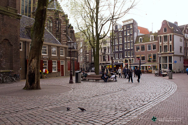 img_8408logo_resized