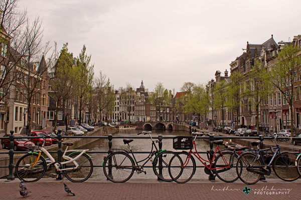 img_8558_logo_resized