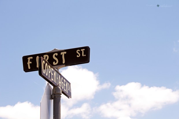 img_6937_logo_resized