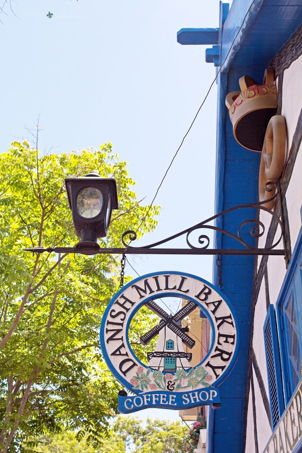 img_6941_logo_resized