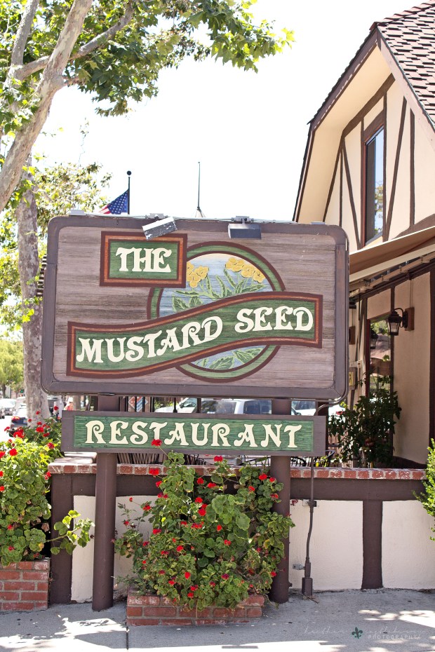 img_7013_logo_resized