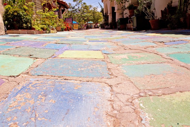 img_7475_logo_resized