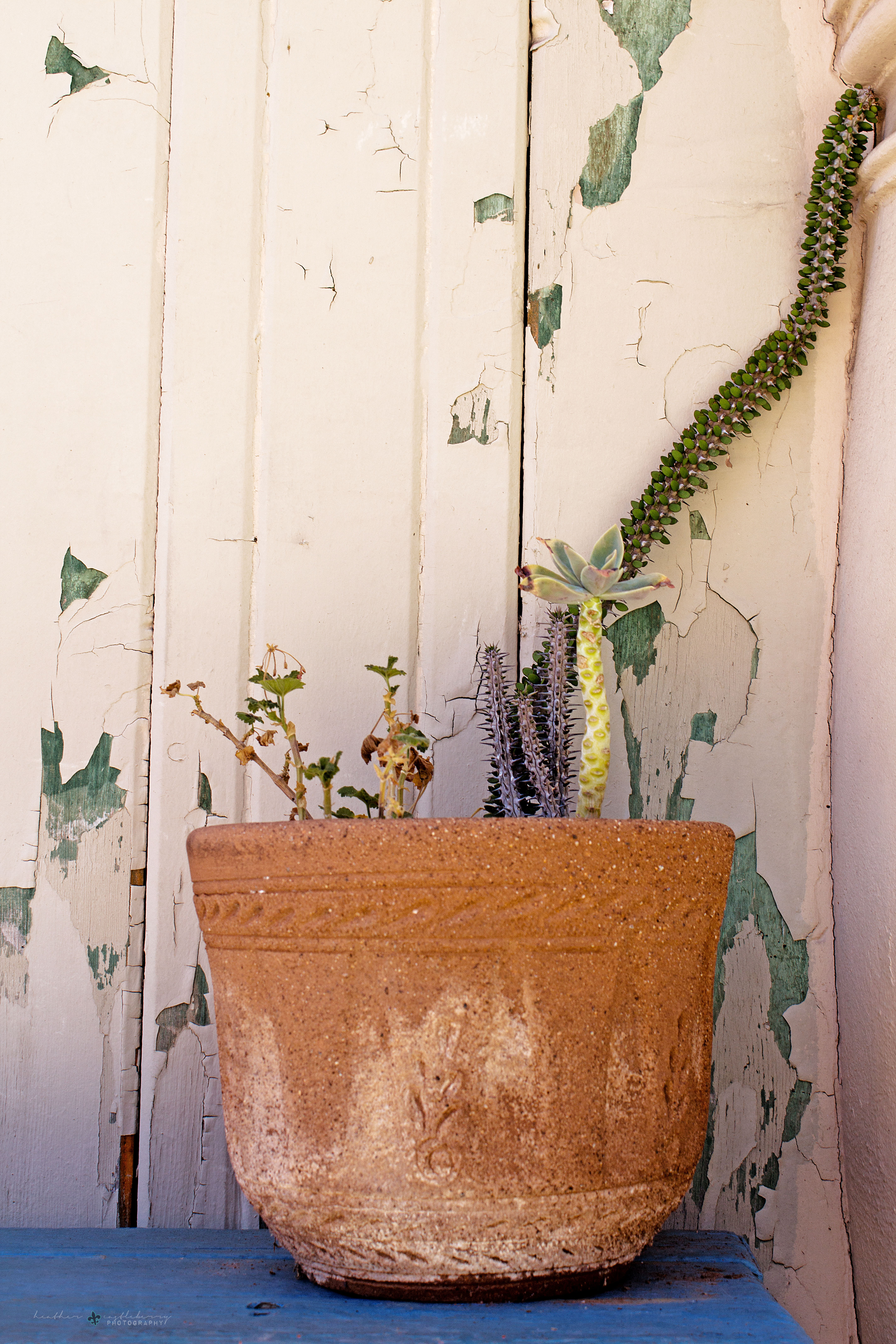 img_7497_logo_resized