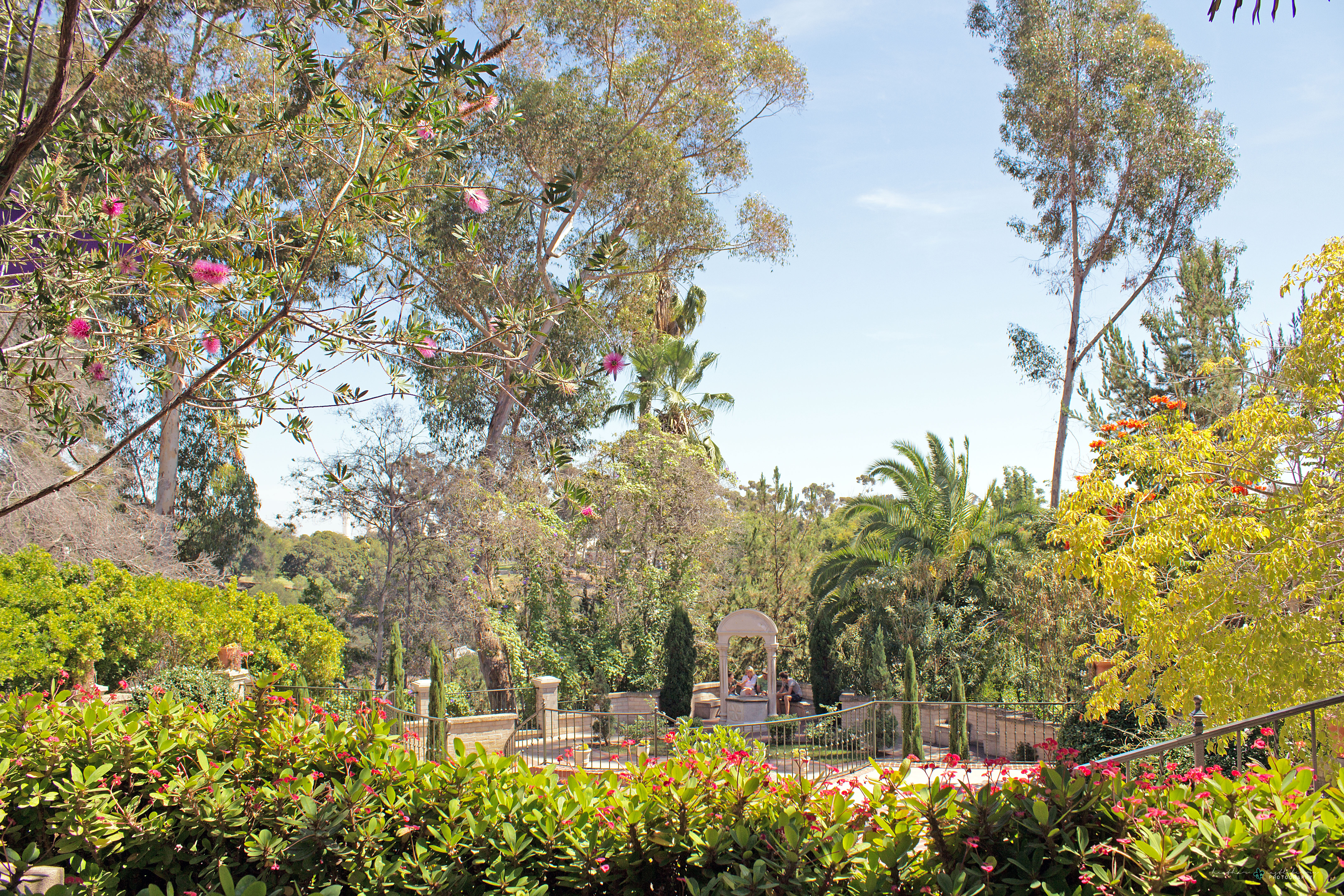 img_7556_logo_resized