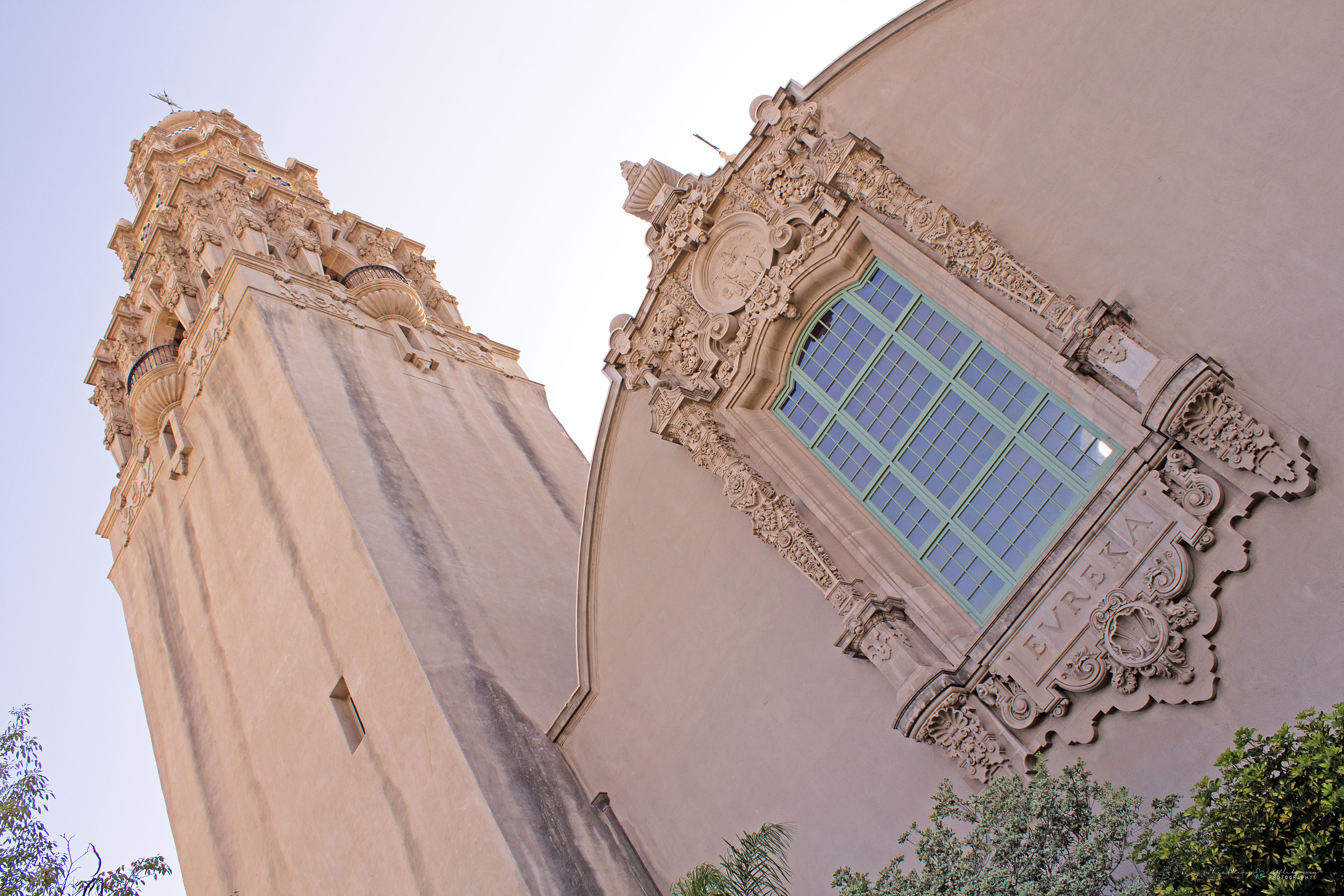 img_7598_logi_resized