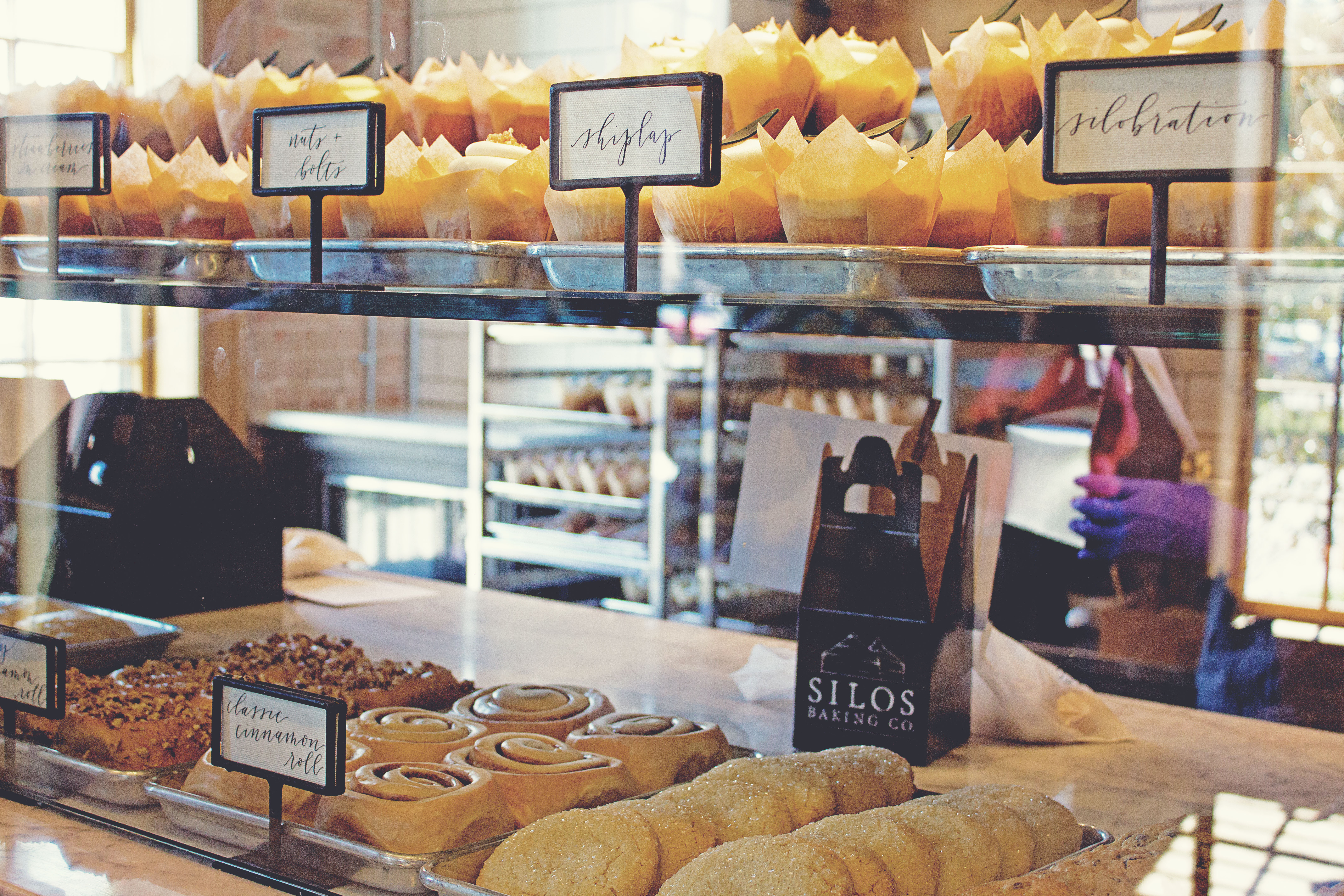 IMG_2067_resized_matte