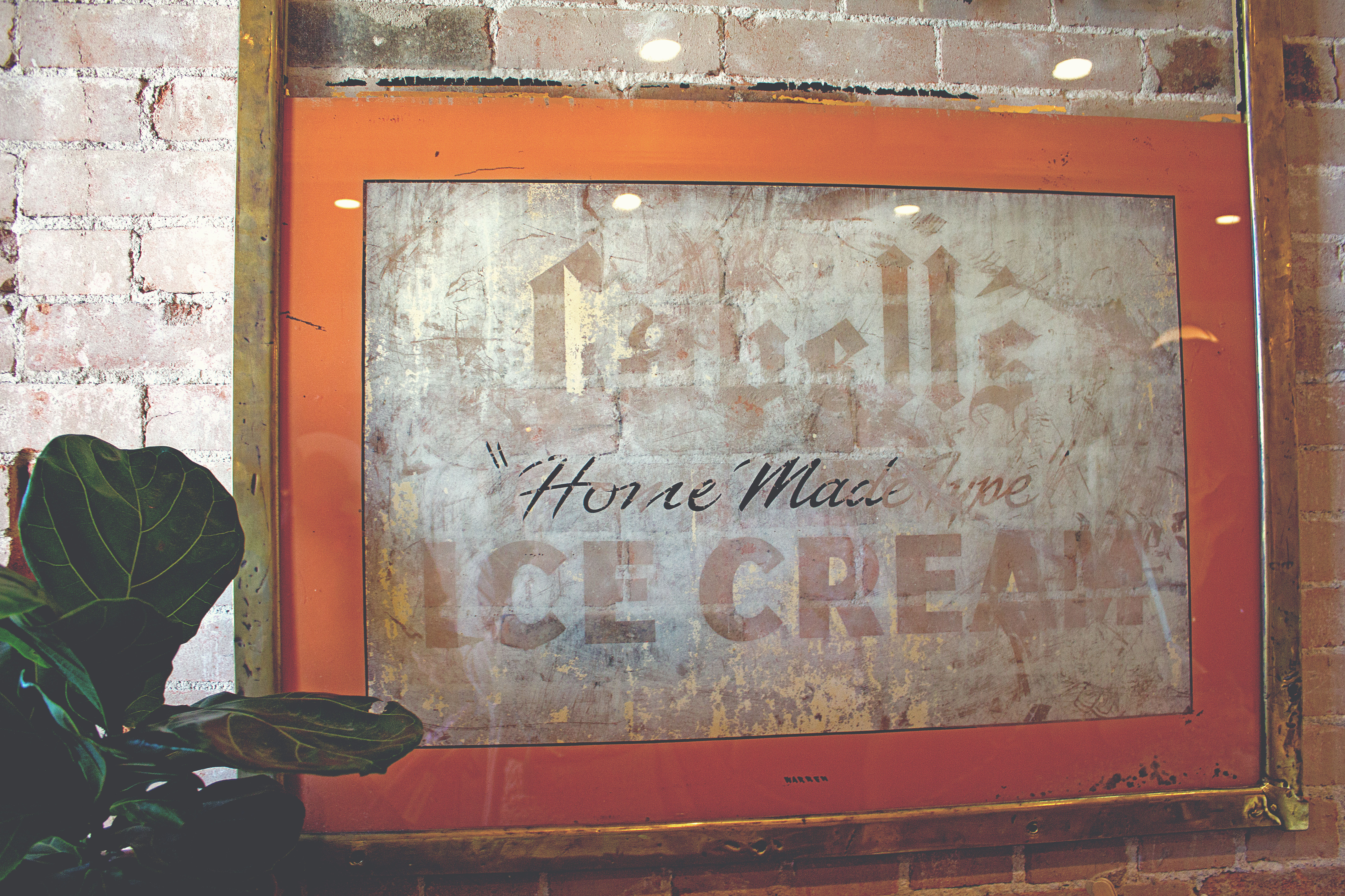 IMG_2082_resized_matte