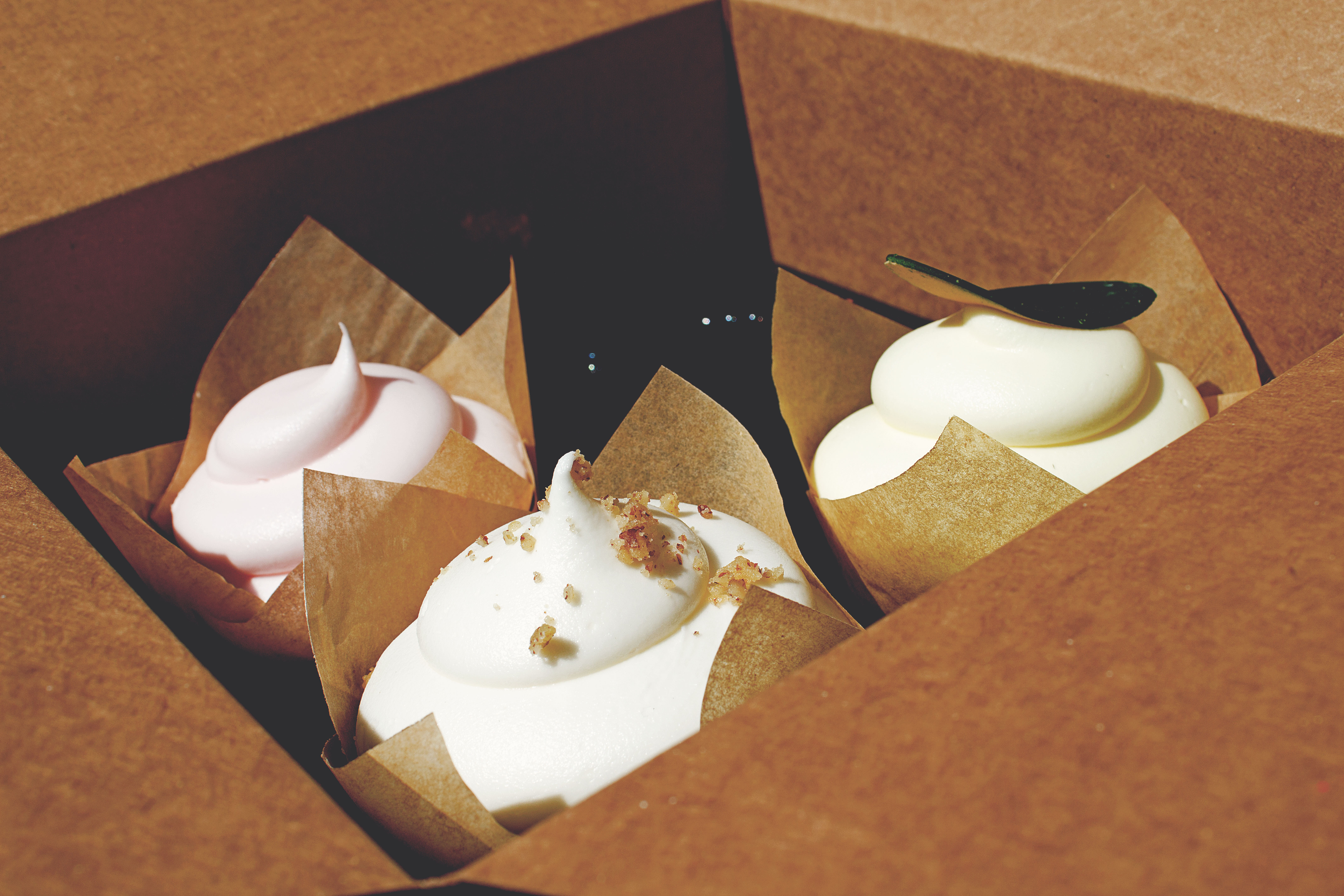 IMG_2086_resized_matte