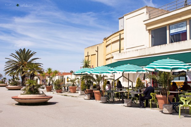 IMG_9514_logo_resized