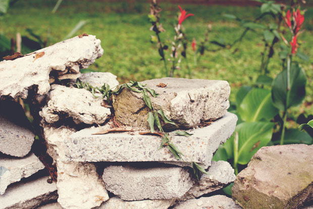 IMG_2748_matte_resized