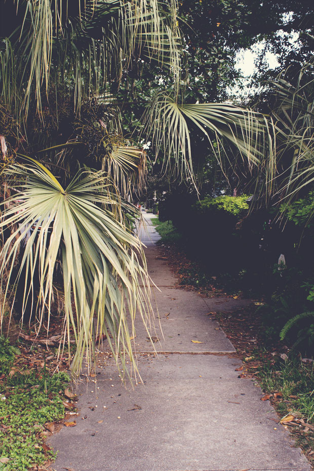 IMG_2804_matte_resized