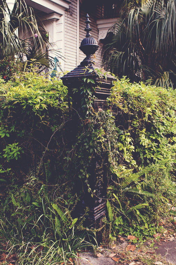 IMG_2806_matte_resized copy