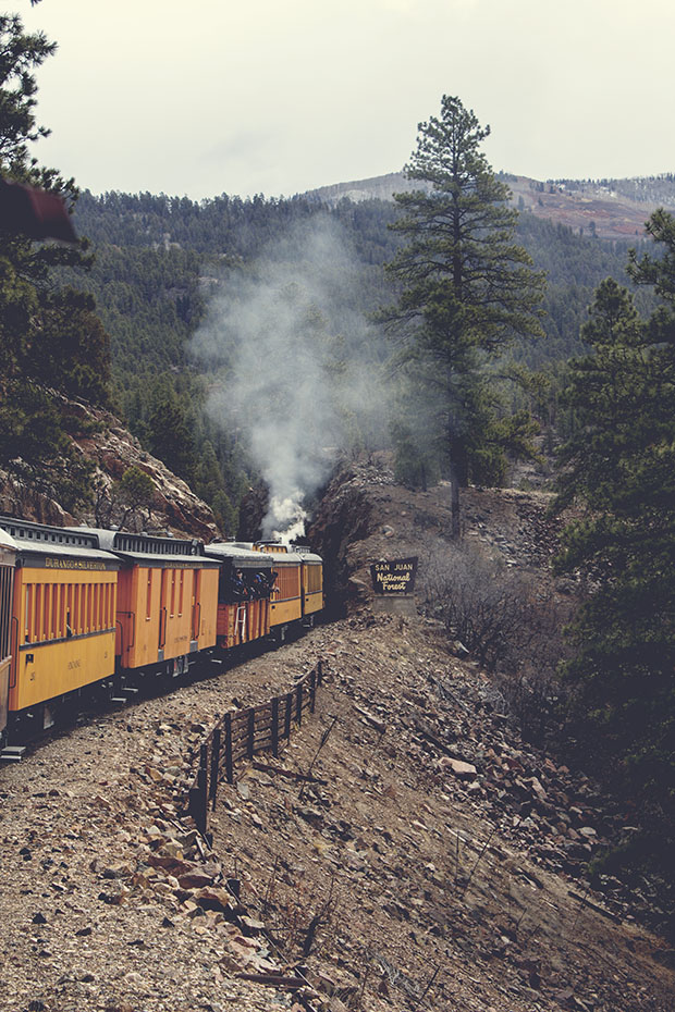 IMG_7591_matteresized620