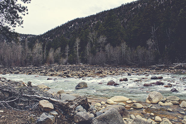 IMG_7682_matteresized