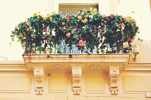 IMG_4263_matteresized