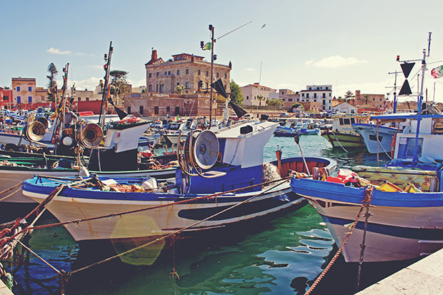 IMG_4265_matteresized