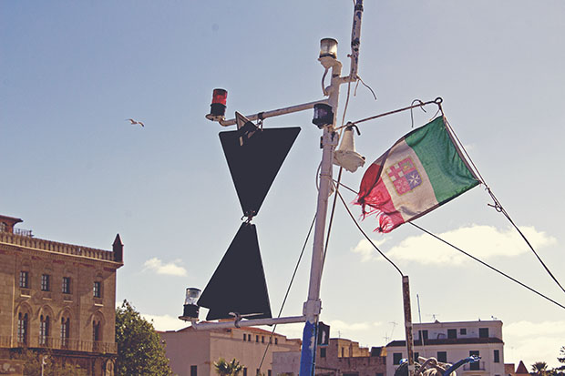 IMG_4268_matteresized