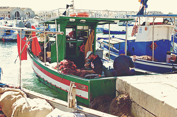 IMG_4270_matte_resized