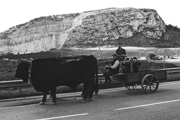 IMG_4388_matteresized