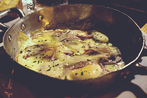 IMG_4537_matteresized