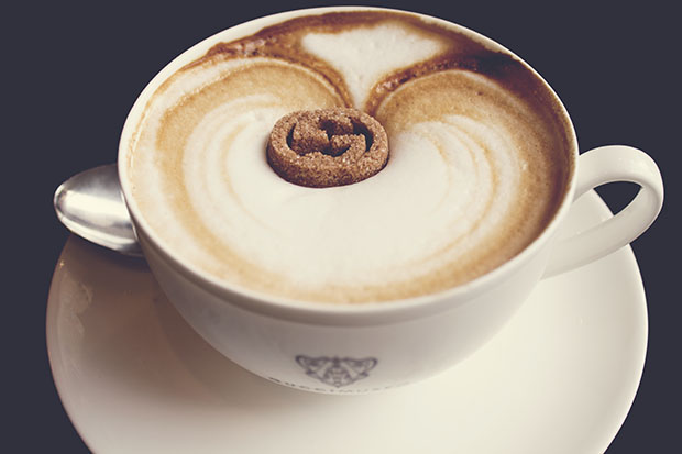 IMG_0775_matteresized