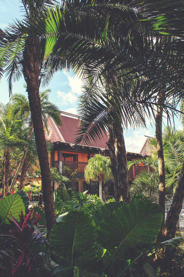 IMG_6639_mattevintageresized