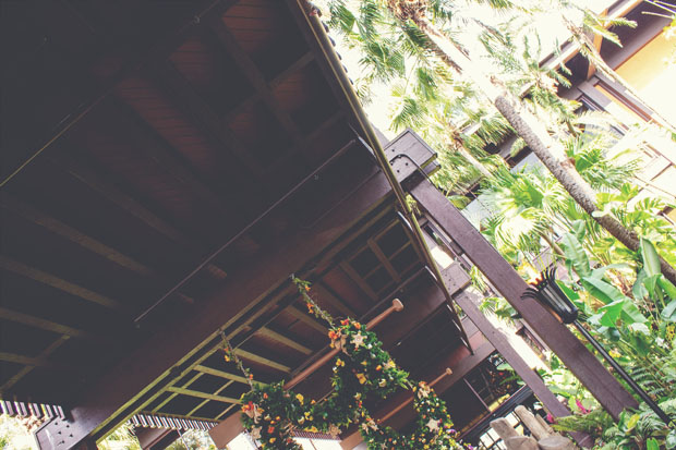 IMG_6702_mattevintageresized