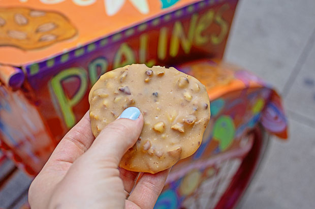 IMG_2520_normedits_resized