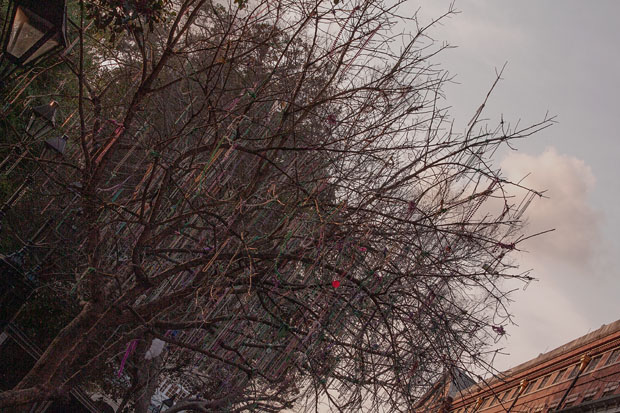 IMG_2888_normeditsresized